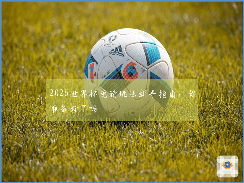 2026世界杯竞猜玩法新手指南，你准备好了吗