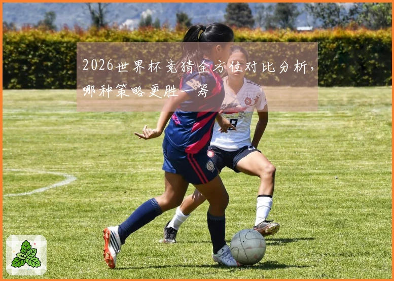 2026世界杯竞猜全方位对比分析，哪种策略更胜一筹