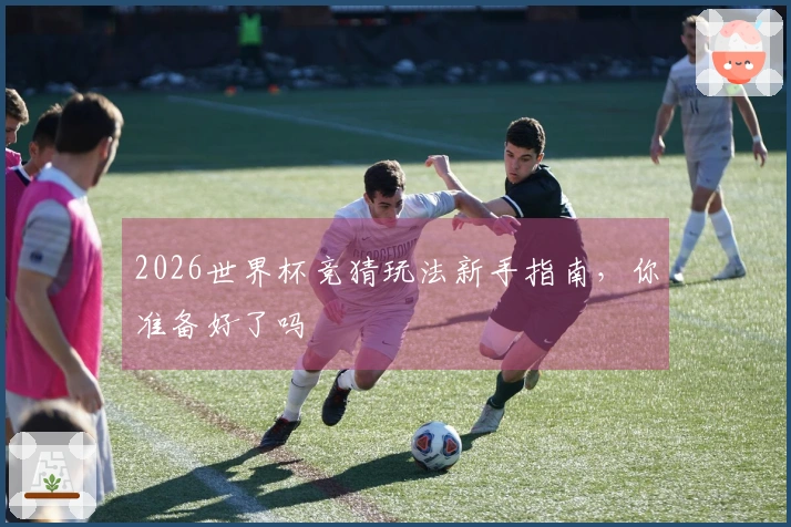 2026世界杯竞猜玩法新手指南，你准备好了吗